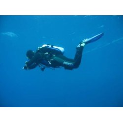 Padi: Open Water Diver kursus -  teori + bassin