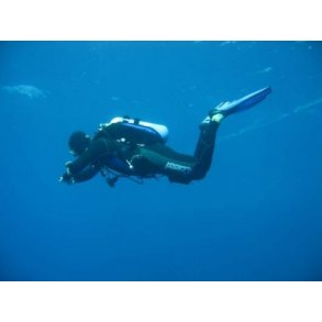 Padi: Open Water Diver kursus -  teori + bassin