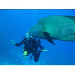Padi: Advanced Open Water Diver
