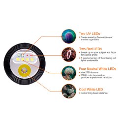 Orcatorch D900V  2200Lumen