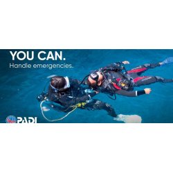 3Padi: Rescue Diver