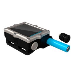 Shearwater Petrel 3 Fisher